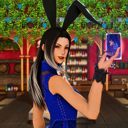 Nova Usagiri